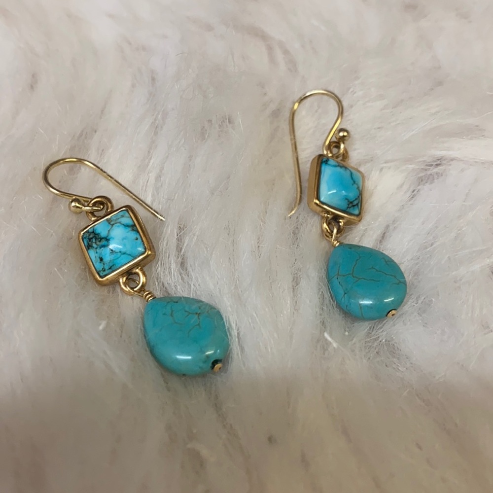 Barse Earrings